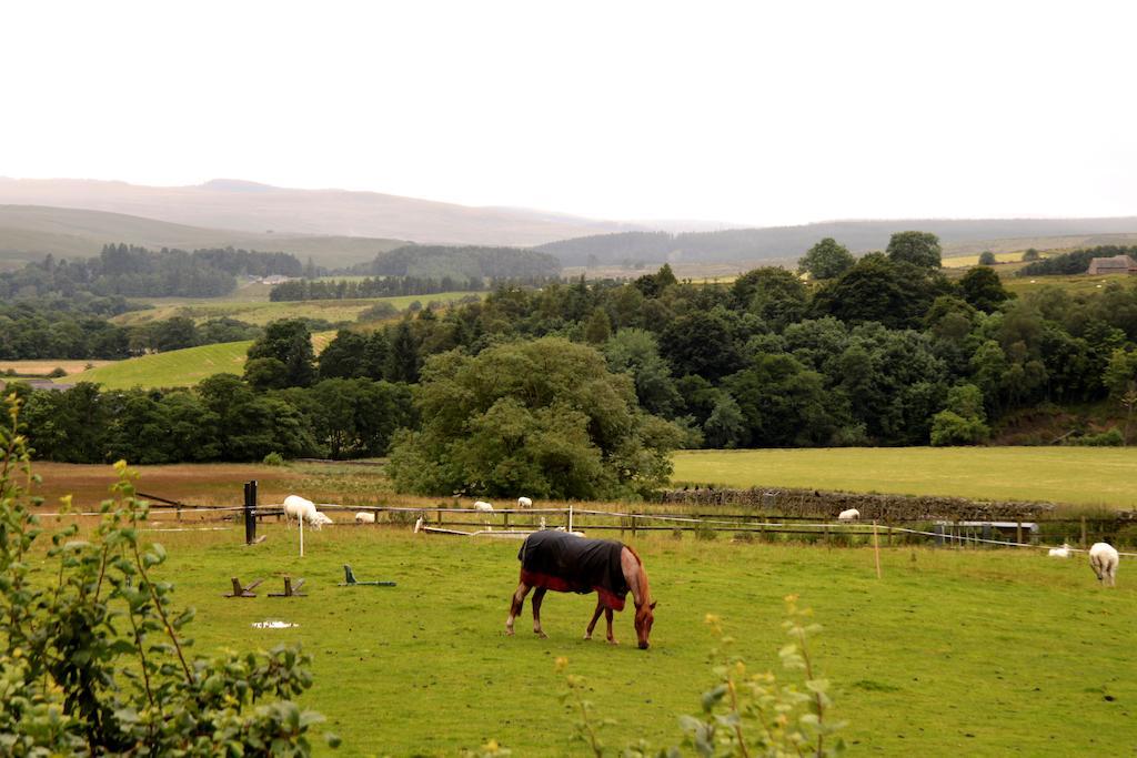 Hollybush Inn Greenhaugh Zewnętrze zdjęcie